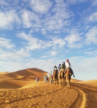 Tour from Marrakech